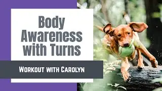 Body Awareness with Turns