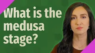 What is the medusa stage?
