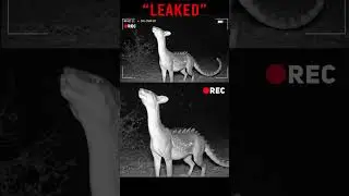 Wildlife Cam Spots Creature NOT in Any Record &mdash; Experts Shocked!😱