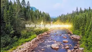 Multe inimi azi in Adunare ( Este-o vorba veche din batrani )
