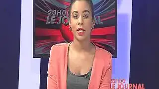 JT Français 20H  - 11 Mars 2014