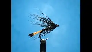 Montage d'une Black Pennel