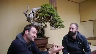 Bonsai connecting people with Edis Ziegler ( Bonsai Zentrum Heidelberg)