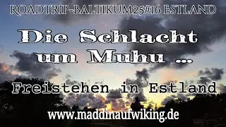 Roadtrip Baltikum 2025#16 Estland Muhu Strau&szlig;en Krater Arenburg