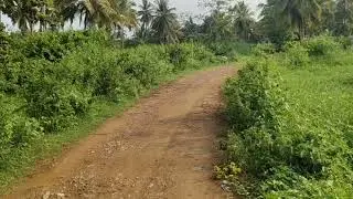 35 Gunta Land for Sale ( illview ) in Mysore ( 9110861228 )