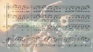 Sonho de Natal - Oswaldo Montenegro (Arranjo para Coral a 3 Vozes e Piano)