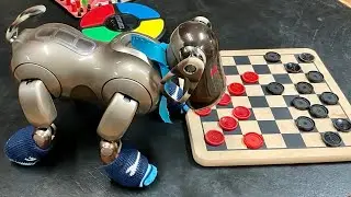Aibo ERS-7 Can’t Figure Out Checkers