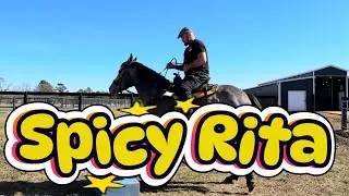Lex working with rescue horse Gemma