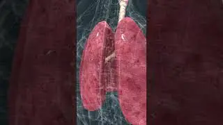 Basic knowledge of the human body part 3