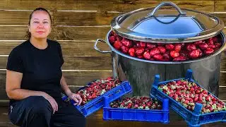 Полезное лакомство: слоеные десерты из сушеной клубники, которые вам понравятся!