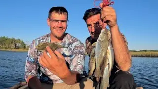 New Species, LADYFISH, PIGFISH, CROAKER. Catch, Clean, Cook.