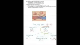 Total Body Water Distribution Made Easy! (ICF vs ECF Percentages) | ICAR ! RPSC!  #VetScience