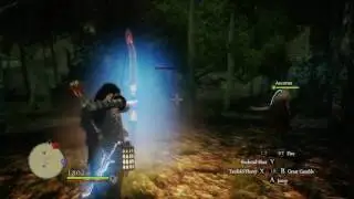Dragons Dogma Fun shot