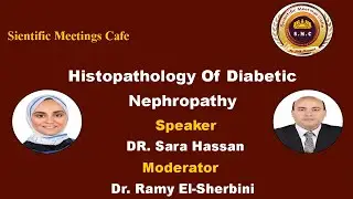 Histopathology Of Diabetic Nephropathy By Dr. Sara Hassan