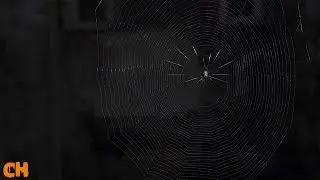 The Spider Labyrinth - Horror Movie Music ● The Spider Labyrinth #17 ● Franco Piersanti
