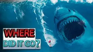What If the Megalodon Shark Never Went Extinct?