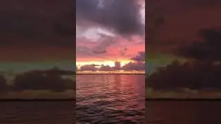 Praying in Color- God Acres for You