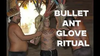 Bullet Ant Glove Ritual