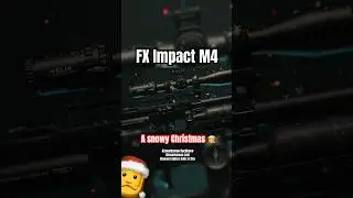 Компактная пневматическая винтовка FX Impact M4 Airmarksman Backbone и планка Loki