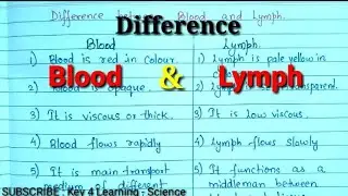 Difference between Blood and Lymph @key-4-learning-Science