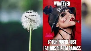 Hypocrite nmim 