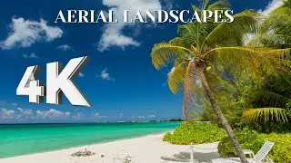Relaxing Piano Music in 4K | Ultimate Stress Relief and Mindful Focus