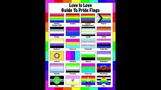 🏳️&zwj;🌈 Guide 1 to #prideflags #rainbowflags #loveislove #love #lgbt #lgbtq #lgbtqia #pride #flags 💕✨🍀🌈