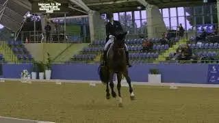 Alexis Hellyer and Valhalla l 3rd place in the Intermediate l Freestyle CDN at the Sydney CDLite