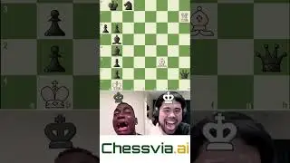 Windmill 👏  #shorts #chess