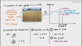 3 &mdash; Стандартная ошибка (Кембриджский экзамен по биологии AS A Level, 9700)