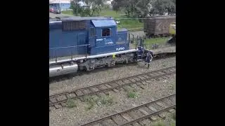 Video aleat&oacute;rio at&eacute; 1 minuto n. 931