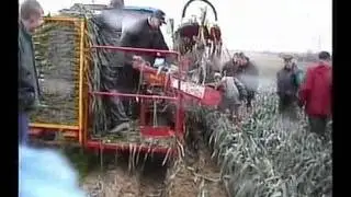 SIMON RPN3E - LEEK HARVESTER