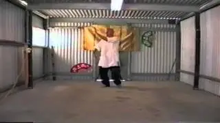 Tai Chi Plus Fundamentals