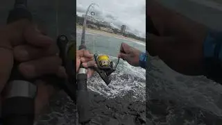 Fishing in Amanzimtoti: Durban&rsquo;s Hidden Gem!