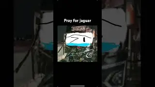 Bus zifa trans jaguar laka