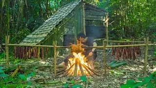 Extreme Solo Survival | No Food, No Water, No Shelter &ndash; Traps, Shelter & Food Search
