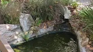 North Coast Village grounds tour