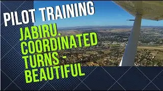 Recreational Pilot. Jabiru - Perfectly balanced turns. Go Dan!
