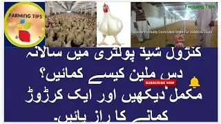 Controlled Shed poultry farming in Pakistan | controlled poultry Farming Tips