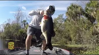 Crews catches biggest bass of 2019 (11 pounds, 2 ounces)