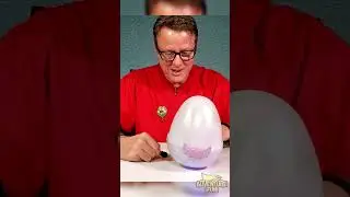 Hatchimals Alive Unboxing Reveal Egg Cracking Opening Toy Fun! #toys #hatchimals