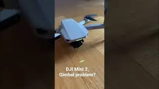 DJI Mini 2, Gimbal issue/problem
