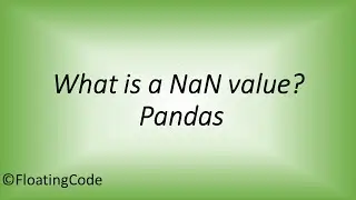 What's a NaN value in a Pandas DataFrame?