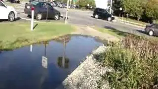 Unnatural 'Pond' Sidewalk at Briarwood Mall