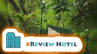 HotelKDM | Review Triple Seven Bed & Breakfast