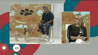GV Entre Noticias | Perros: El poder de la Terapia con Silvana Muriana (7/8)