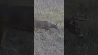 FULL VIDEO on our Channel. 
