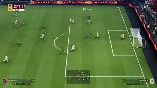 Fc
