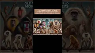 Amazing Monkey Facts You Didn't Know! 🐒 | Fun & Educational Video#monkey#mindmastery810