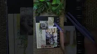 ASMR MINI  JUNK JOURNAL SCRAPBOOKING  | nature inspired | birds chirping ambiance